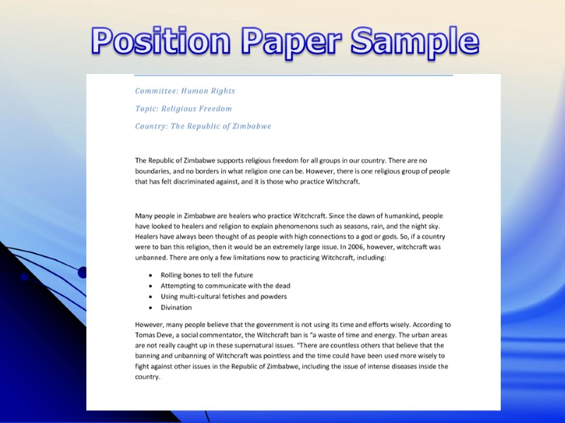 Position Paper Sample